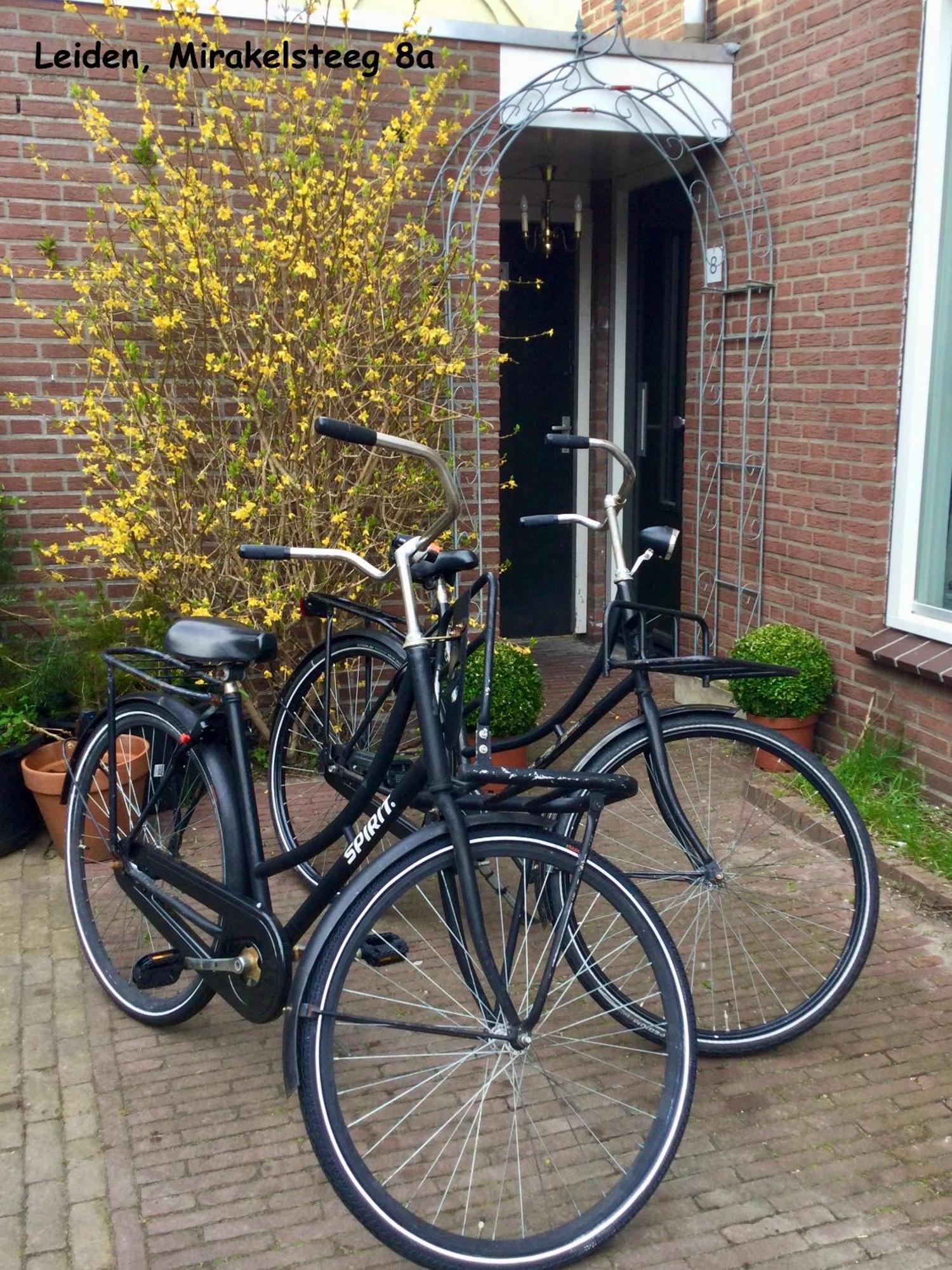 Number 8 Leilighet Leiden Eksteriør bilde