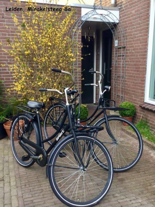 Number 8 Leilighet Leiden Eksteriør bilde